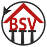 BSV-Express