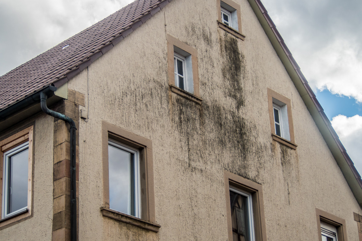 Wie und wodurch können Schimmelschäden in Wohnungen und Häusern entstehen?